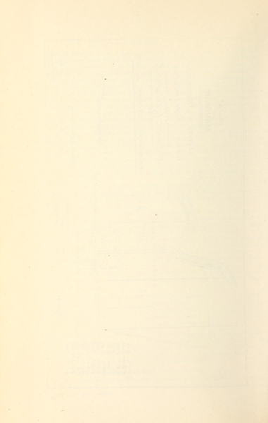 File:392 (3).png
