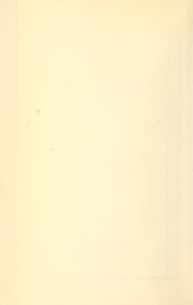 File:438 (4).png