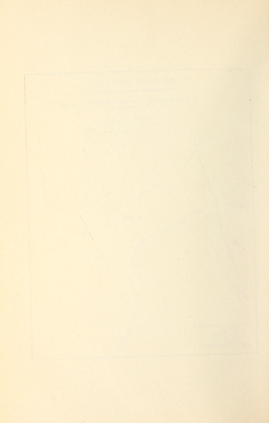 File:380 (7).png