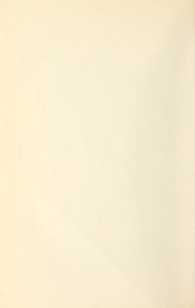 File:336 (4).png