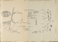 Thumbnail for version as of 00:52, 5 March 2023