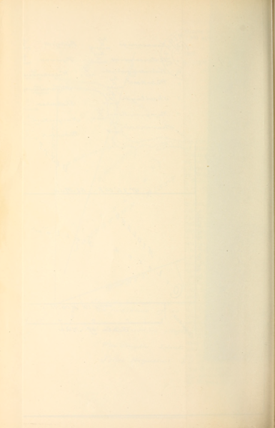 File:27 (3).png