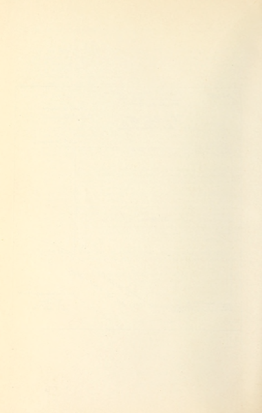 File:407 (3).png