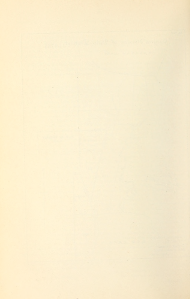 File:368 (3).png