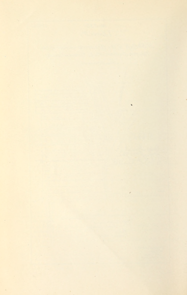 File:335 (4).png